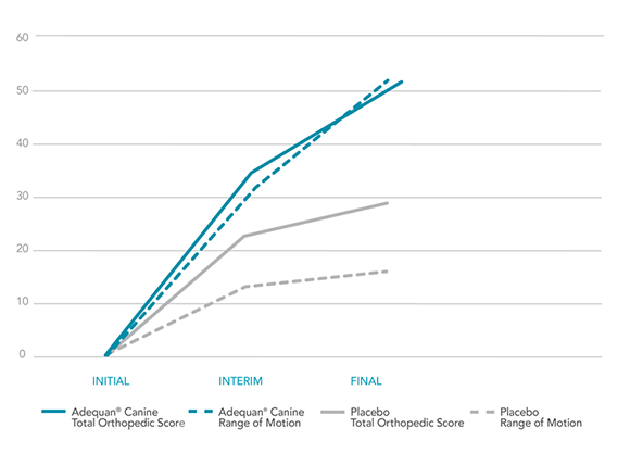 Adequan Canine treatment improvement results